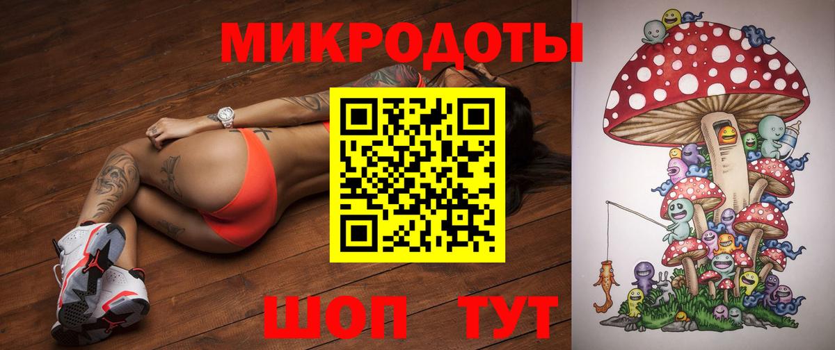 Петровск  Галлюциногенные грибы Psilocybe  закладка  Вход с VPN 